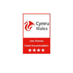 Cymru Wales 4 Star colour logo